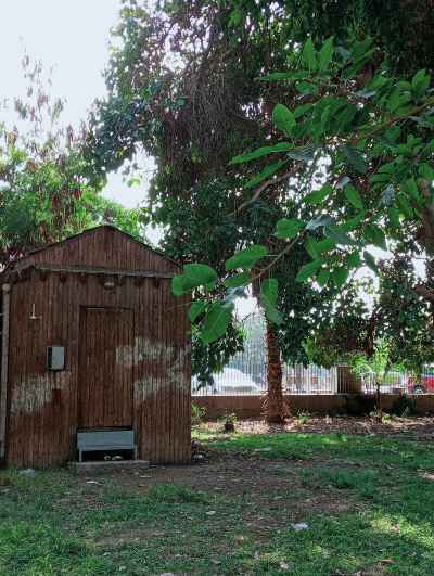 Small Wooden Shed Among Trees, Orman Garden Giza