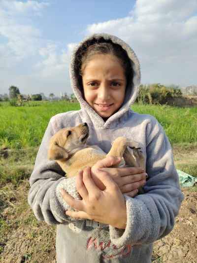Girl Holding Puppy, Dahab Island Giza