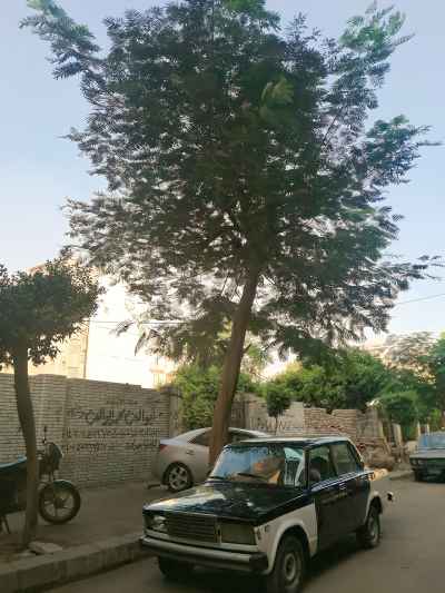 Old Black and White Taxi Parked, Abideen Cairo