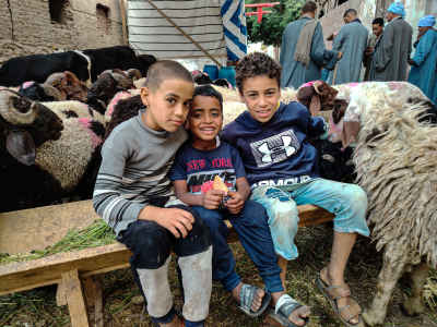 Young Herders at the Cattle Market