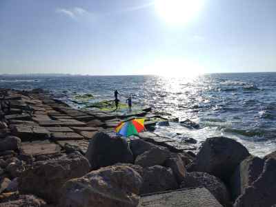 Fishermen on Rocky Alexandria Mediterranean Shore
