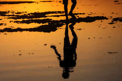 Sunrise Silhouette Walking Al-Quseir Beach Red Sea