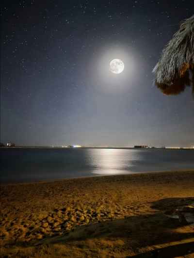 Serene Moonlight Over the Sea