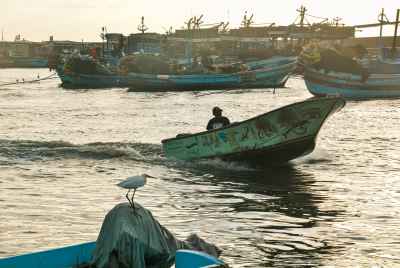 Traditional Fishing Boats at Al-Mex Harbor, Alexandria