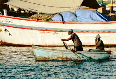 Fishermen Rowing Small Boat, Alexandria Harbor Egypt
