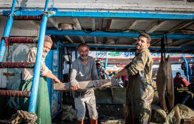 Egyptian Fishermen Unloading Fresh Catch at Harbor