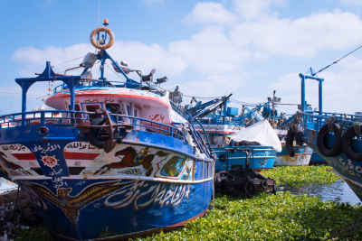 Fishing Boats Docked at Rashid Boat Harbor