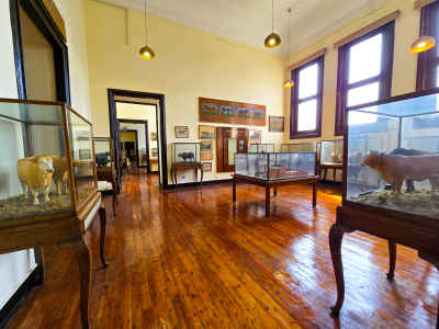 Agricultural Museum Interior Display Hall, Dokki Giza
