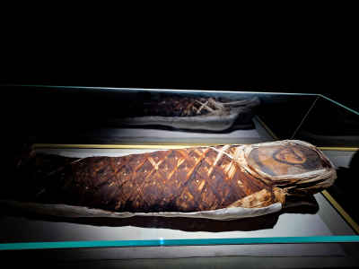 Ancient Egyptian Mummy Display, Greco-Roman Museum Alexandria