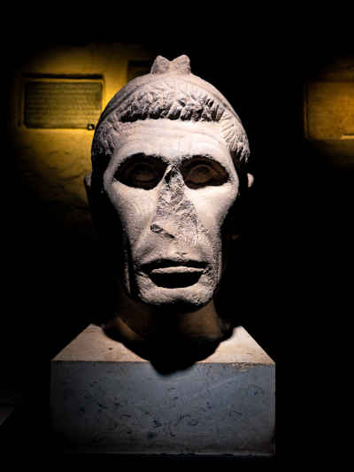 Ancient Roman Marble Bust, Greco-Roman Museum Alexandria
