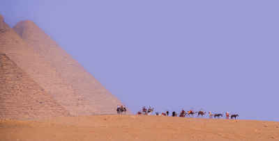 Camel Caravan at the Giza Pyramids, Egypt