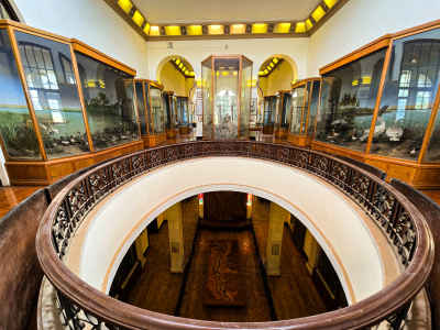 Agricultural Museum Interior Rotunda, Dokki Giza