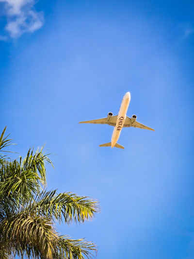 Qatar Airways Plane Over Cairo Airport Palm Trees