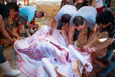 Eid Al-Adha Preparations: Butchers Working Together on a Carcass