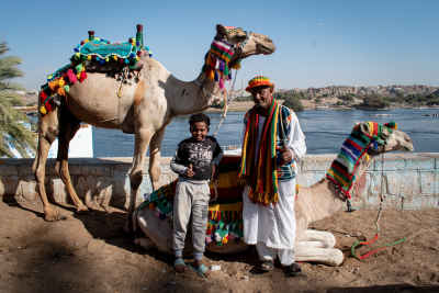 Camel Herder with Camels, Nile Aswan