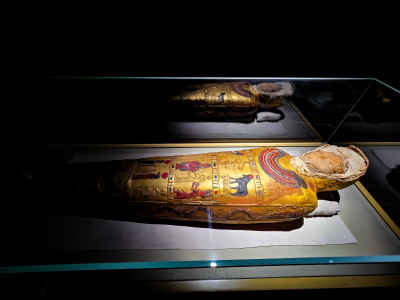 Ancient Egyptian Mummy Cases Display, Greco-Roman Museum Alexandria