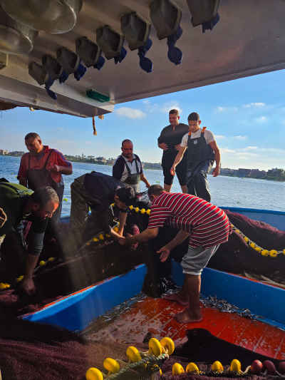 Fishermen Sorting Nets on Boat, Ezbet El Borg Rashid