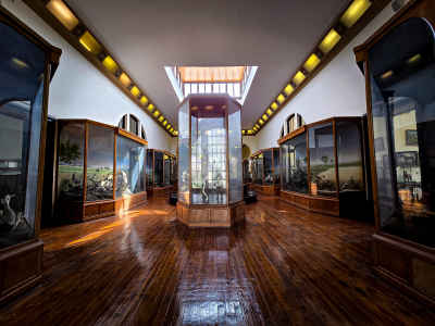 Agricultural Museum Exhibition Hall, Dokki Giza