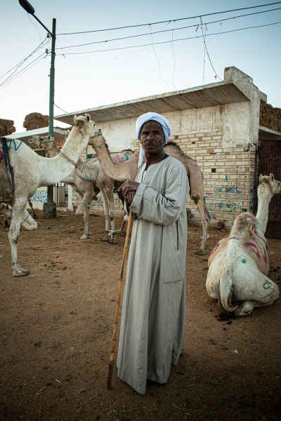 Egyptian Camel Trader at Barqash Livestock Market