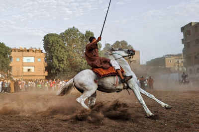 El Mermah Traditional Horseman Performance, Qena Upper Egypt