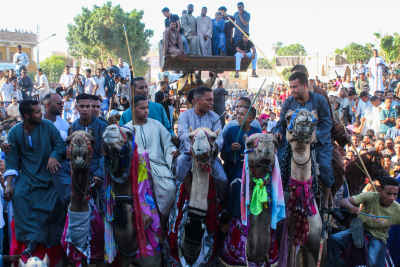 Moulid Al-Nabi Camel Procession Celebration, Luxor Egypt