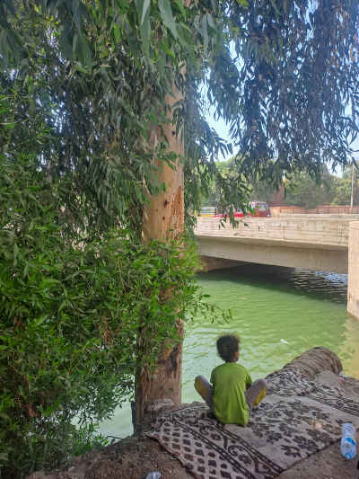 Child Sitting by Canal Under Tree Shade, Qena