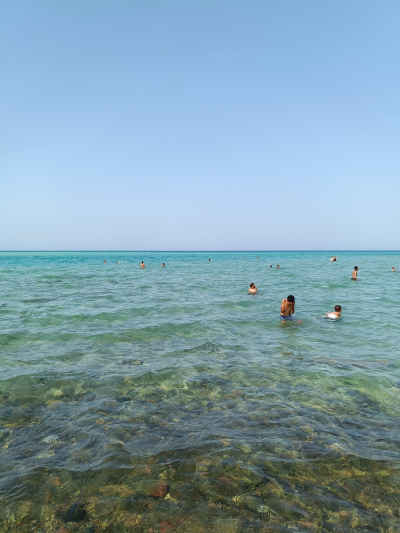 Swimmers in Clear Red Sea Waters, Hurghada