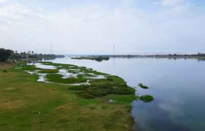 Silent Shores Nile River Green Banks Qena Egypt