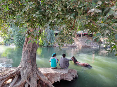 Two Men and Horse Swimming in Nile River, Qena