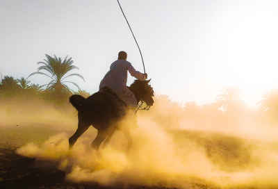 El-Mirmaah Horseman at Moulid Festival, Qena Upper Egypt
