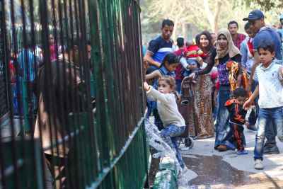 A Scene from Giza Zoo (Genenit el Hayawanat) During Eid el Fitr 2017 3