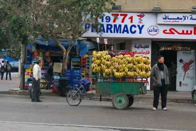 Banana Vendor with Bicycle Cart – Heliopolis (Masr el Gedida), Cairo 2017