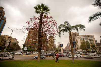 City Park and Traffic View Cairo