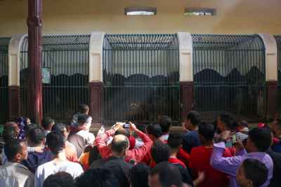 Crowd Watching Lions at Giza Zoo (Genenit el Hayawanat) During Eid el Fitr 2017 2