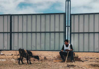 Baby Sheep Approaching a Shepherd Sitting Peacefully Before Eid al-Adha