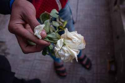 Young Man Holding Wilted White Rose, Giza