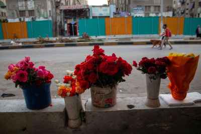 Rose Buckets on Cairo Sidewalk, Local Flower Vendor