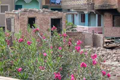 Flowers Growing Beside an Old Brick Hut in a Rural Egyptian Village