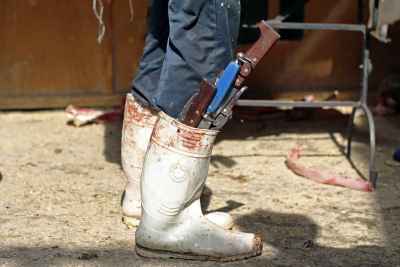 Butcher Knives in Rubber Boots, Eid Al Adha