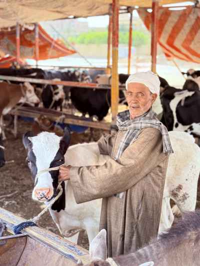 Old Man with a Cow Before Eid