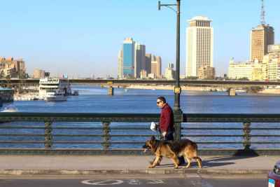 Man Walking His Dog on Kasr el Nil Bridge – Cairo Winter 2017