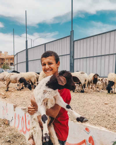 Smiling Young Boy Carrying a Baby Sheep Before Eid al-Adha