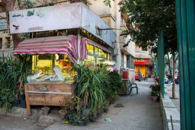 Local Flower Shop on Sudan Street, Cairo