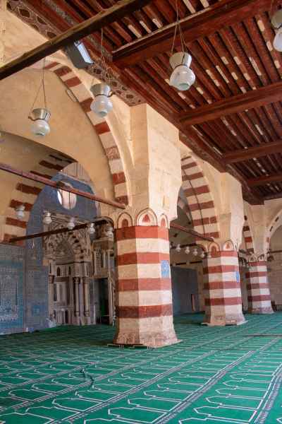 Side View of the Blue Mosque (Amir Aqsunqur Mosque) in Cairo 18