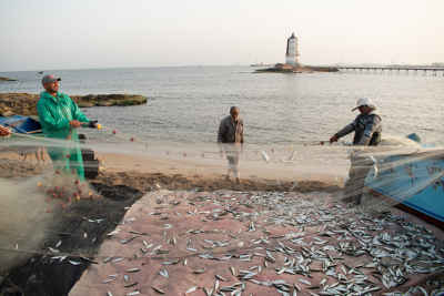 Fishermen at sea in Alexandria — El-Max, next to the lighthouse.
