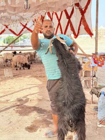 Man Holding a Sheep Before Eid