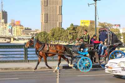 Horse-Drawn Hantoor on Cairo Nile Corniche