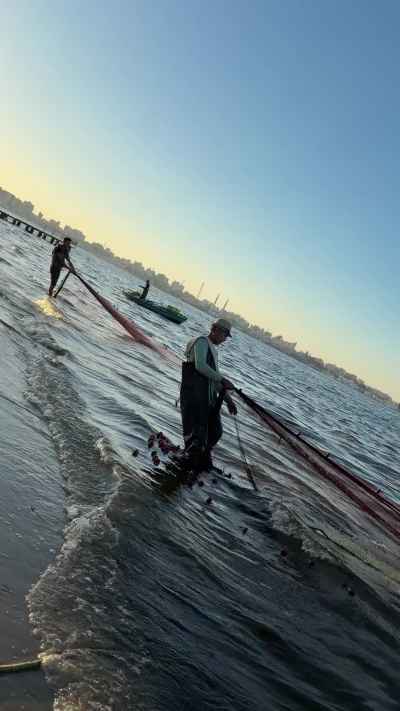 Fishermen Hauling Nets at Al-Nourus Beach, Ismailia