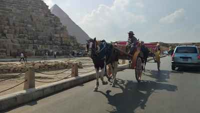 Horse Carriage (Hantour) on Giza Pyramids Tourist Road