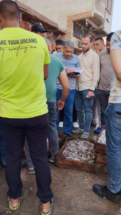 Fresh Fish Auction, Ezbet El Borg Fish Market, Damietta